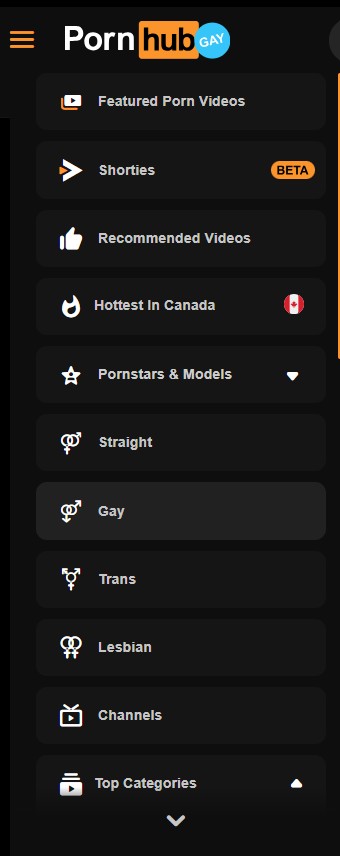 Taste Selector Pornhub Gay Blog.jpg